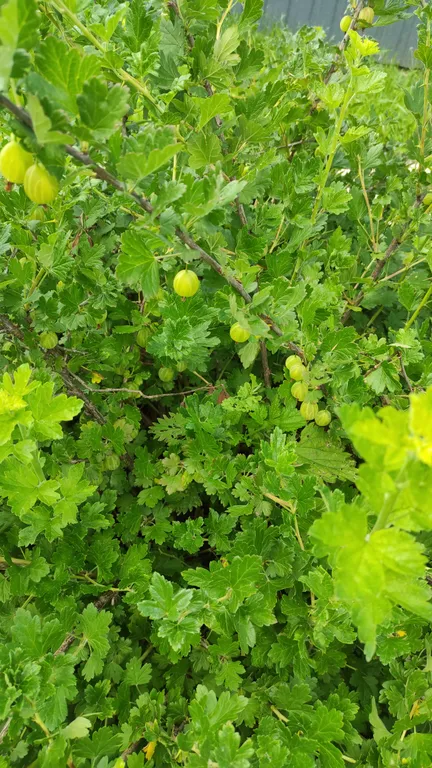 Уютный дом с сауной