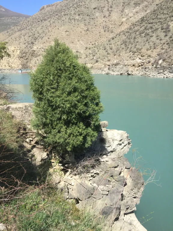 Сулакский каньон