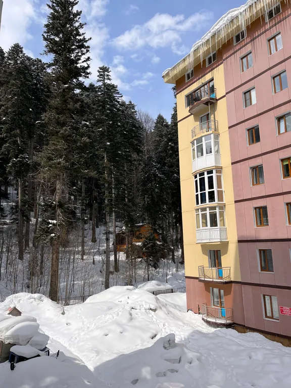 Апартамент (корпус) Пихта