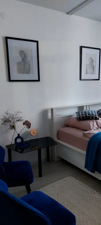 Северин - квартира с северным характером