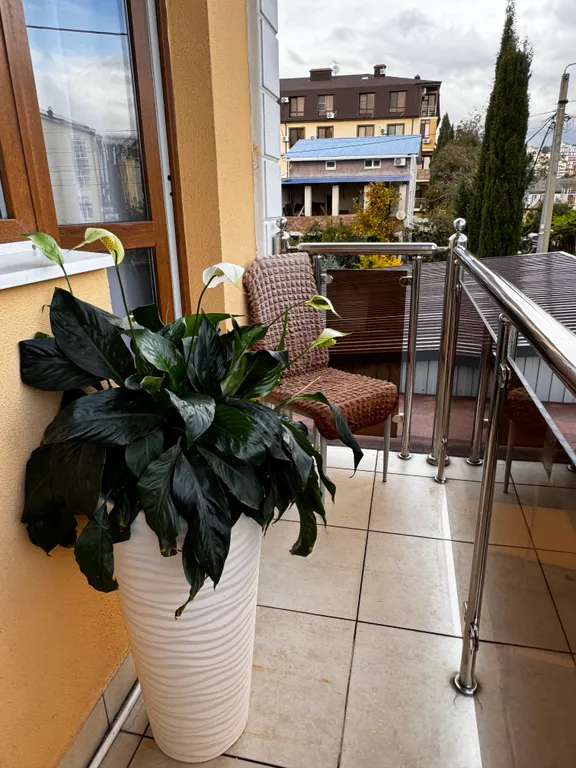 Квартира Уютные апартаменты в Олимпийском парке — Сириус