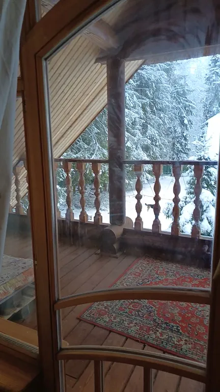 Изба (дом) из экологически чистого бревна под камышовой крышей в лесу