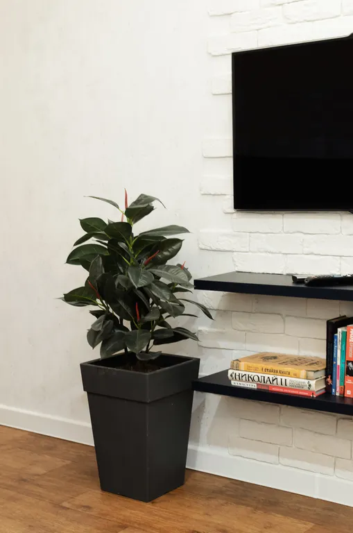 Светлая, уютная квартира