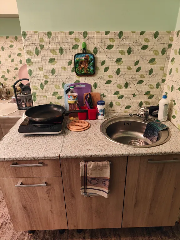 Студия в лесу