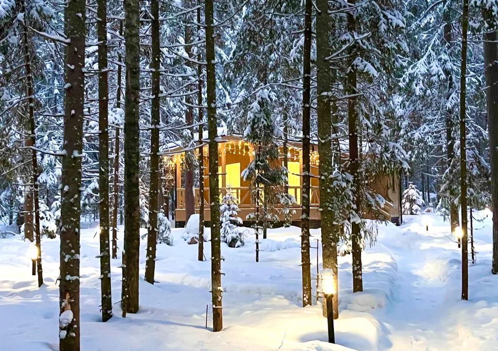 Коттедж Коттедж Гармония леса на берегу озера Волго на Селигере — Турбаза Чайка