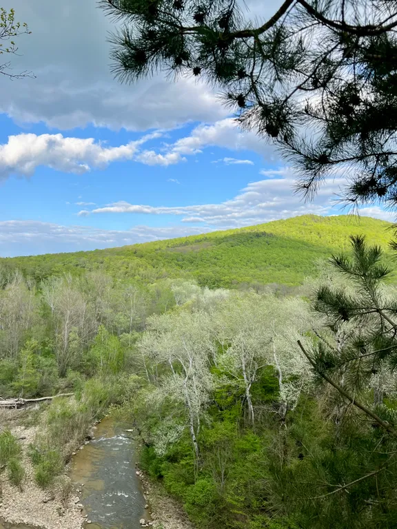 Коттедж Уютный дом с джакузи в лесу недалеко от Краснодара — Северская