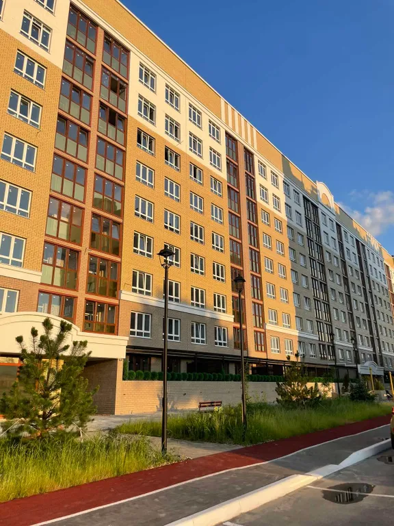 Олива в подарок 500 бонусных рублей суточно