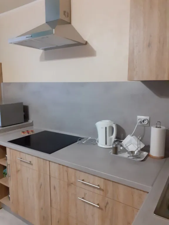 Уютные аппартаменты в центре города с отдельным входом