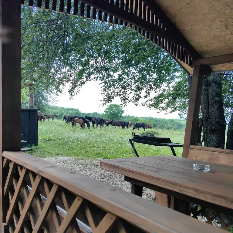 Коттедж Отдых от городской суеты в Адыгеи, домик в лесу А-фрейм — Веселый