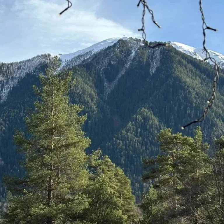 Квартира Апартаменты  с 3 спальнями и балконом с видом на горы — Архыз