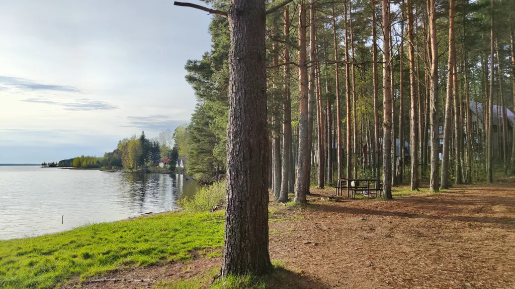 Коттедж Новый дом у озера с бесплатным бильярдом, рядом с турбазой Чайка — Ланино