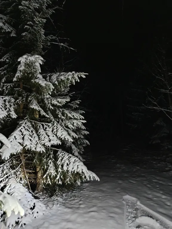 Гостевой дом с баней и Сибирским банным чаном на берегу озера Званское