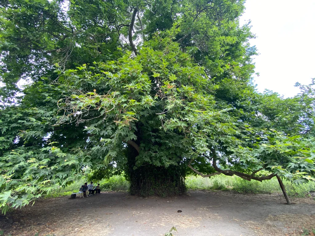 Дом из сруба в Самурском лесу
