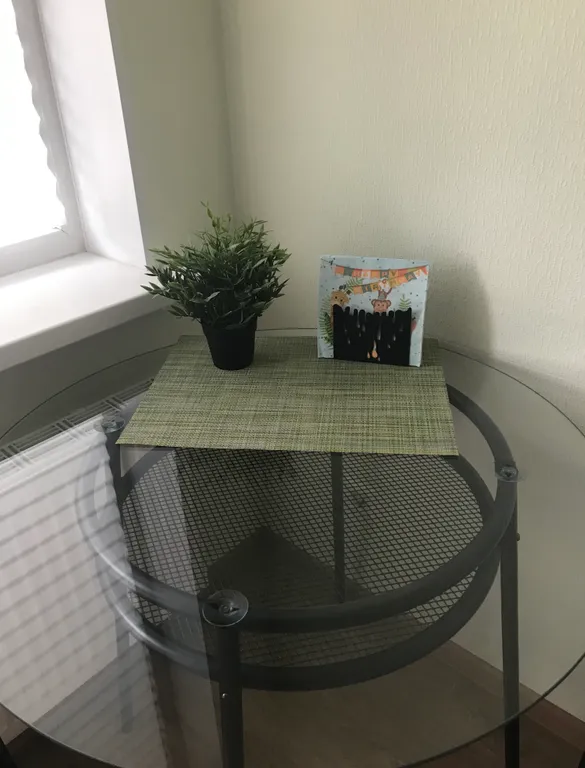 Студия у парка, у Меги