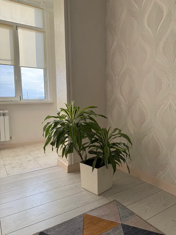 Новая квартира у моря