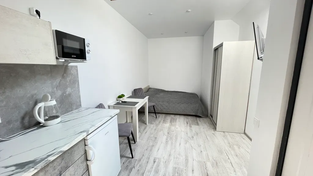 Квартира 1-комнатная Квартира — Сириус