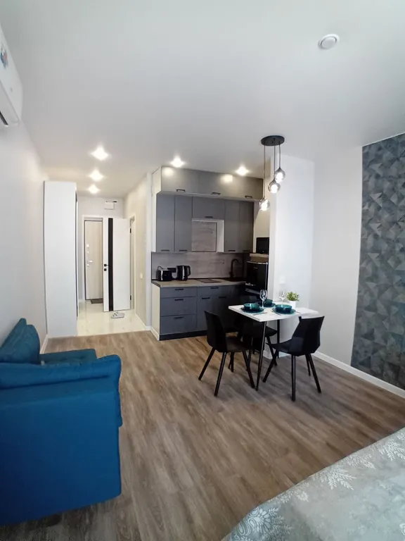 Студия в центральном районе с новым ремонтом