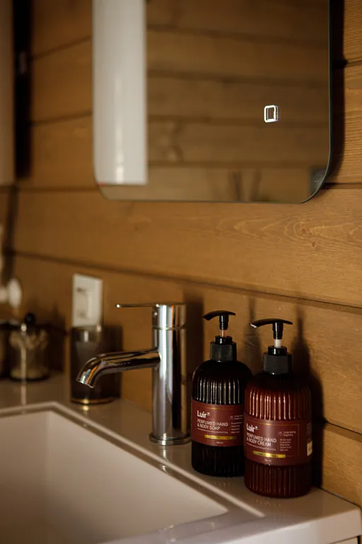 Дом с сауной и горячим чаном на участке с соснами