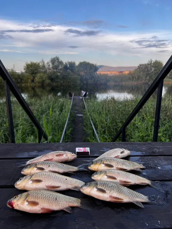 Теплый домик на берегу озера с баней и чаном