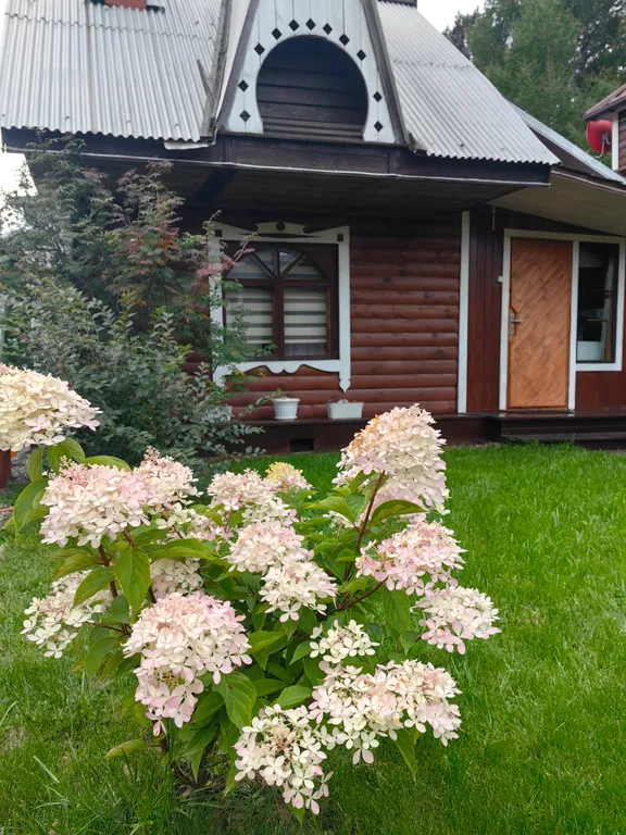 Семейный домик Лаки Хаус поселок Листвянка