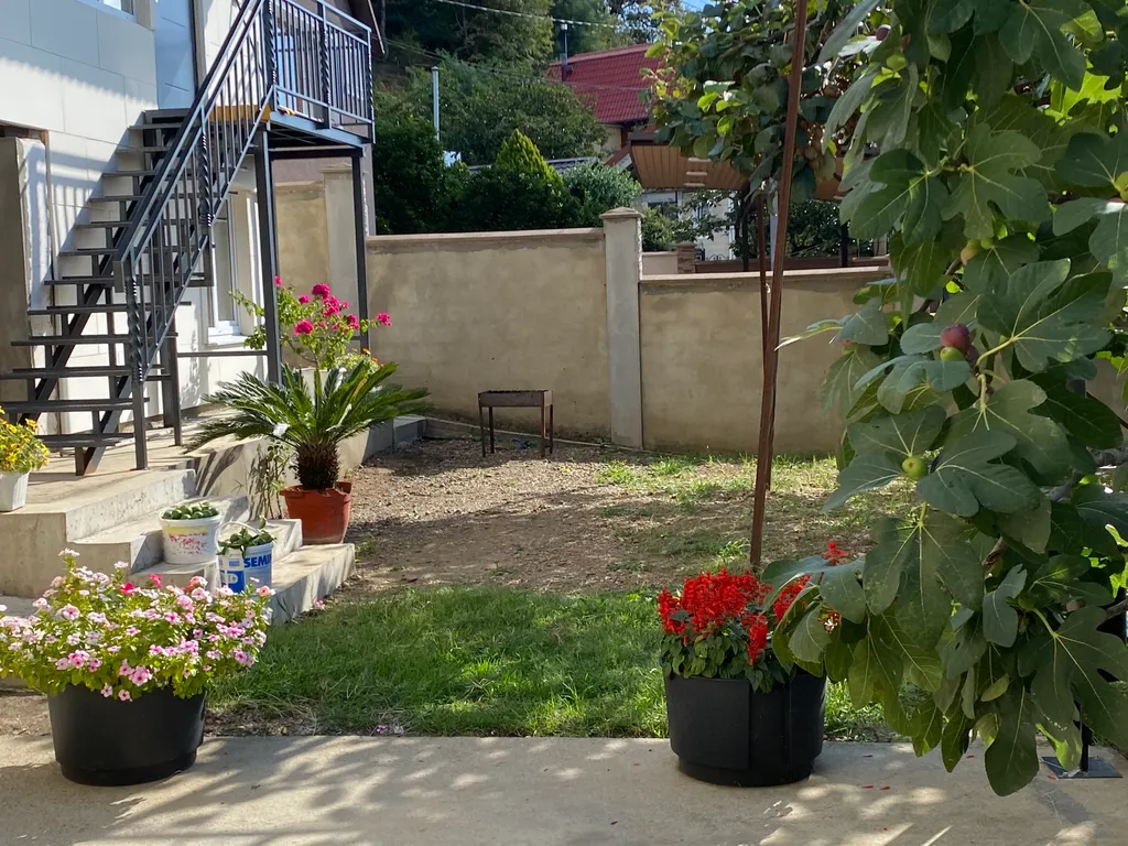 Коттедж Уютный дом на холме с красивыми видами на море, олимпийские объект — Сочи