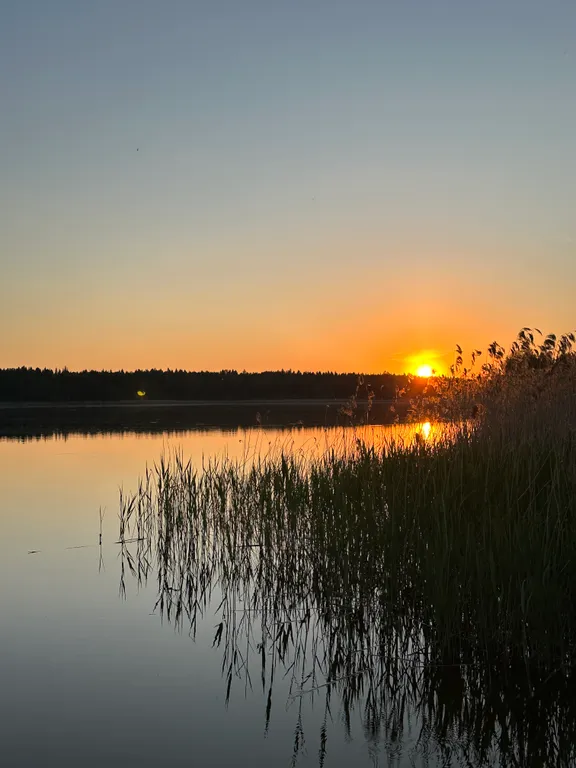 Коттедж Дом с террасой на берегу реки — Логиново