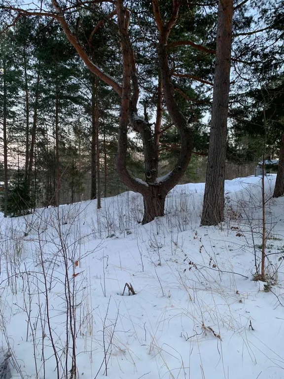 Уютный дом на Онежском озере