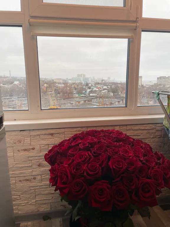 Студия с видом на Волгу