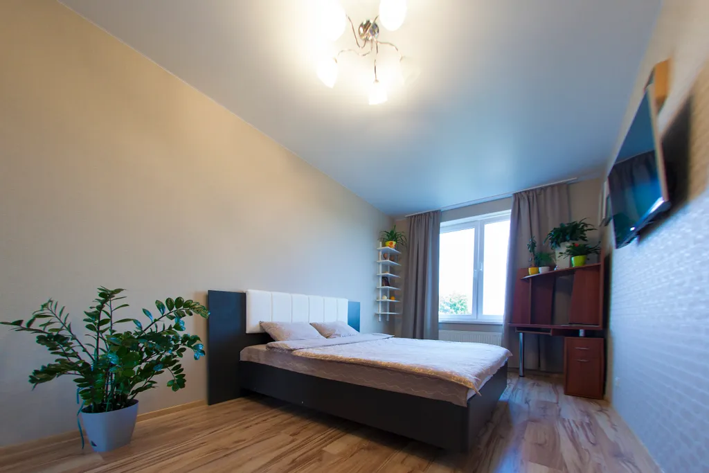 Квартира Квартира Санта — Светлогорск