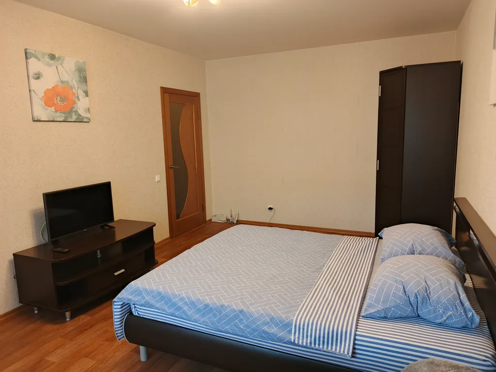 Просторная квартира на Московском проспекте с кондиционером