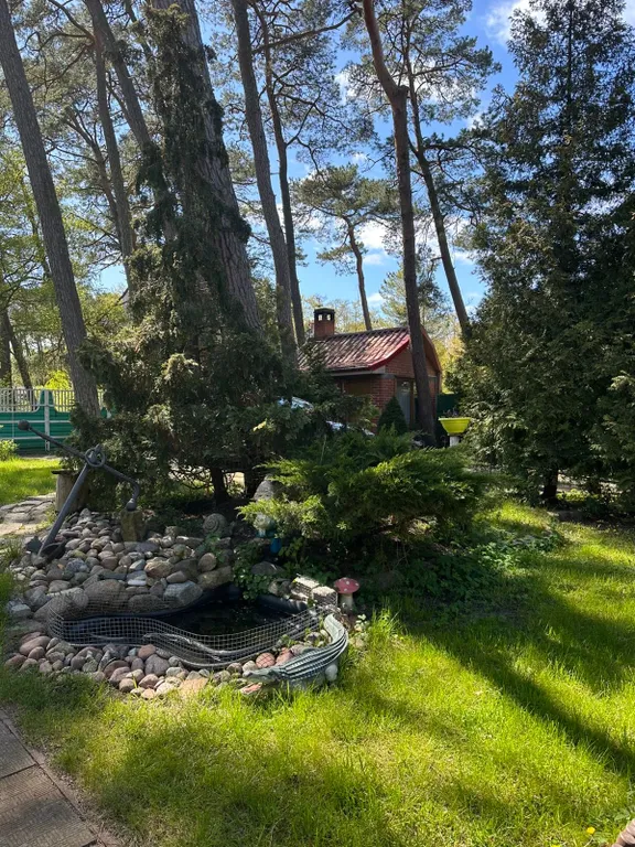 Сказочный домик в лесу, у моря