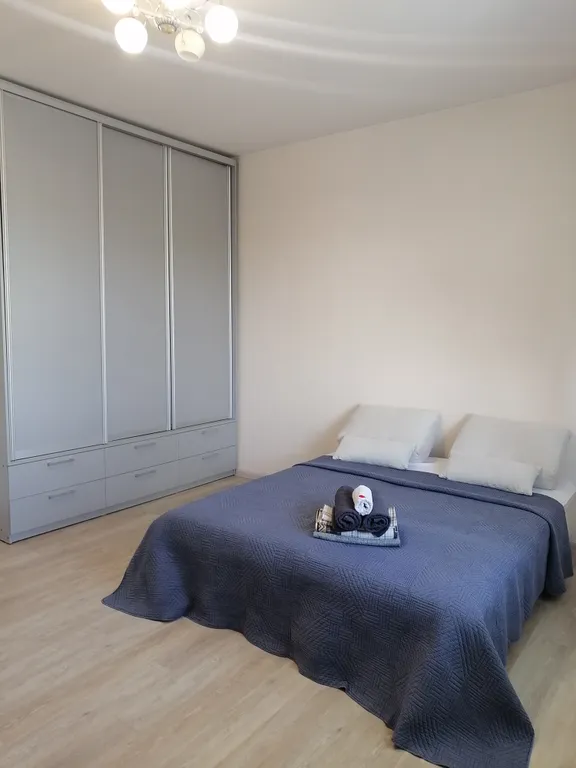 2-комнатная уютная квартира для семейного отдыха и деловых поездок