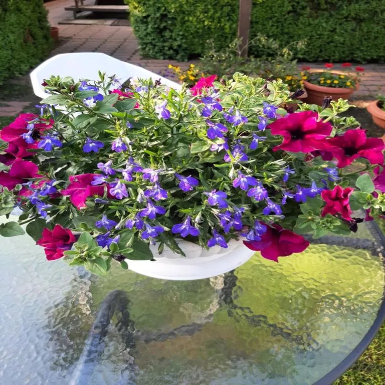 Привлекательный дом для отпуска