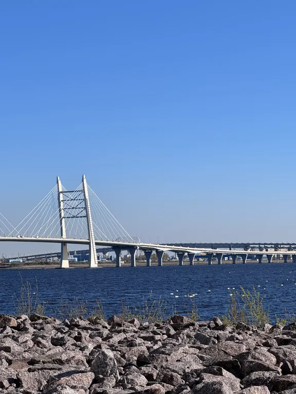 Квартира Фантастическая квартира с видом на Финский залив и лебедями из окна — Санкт-Петербург