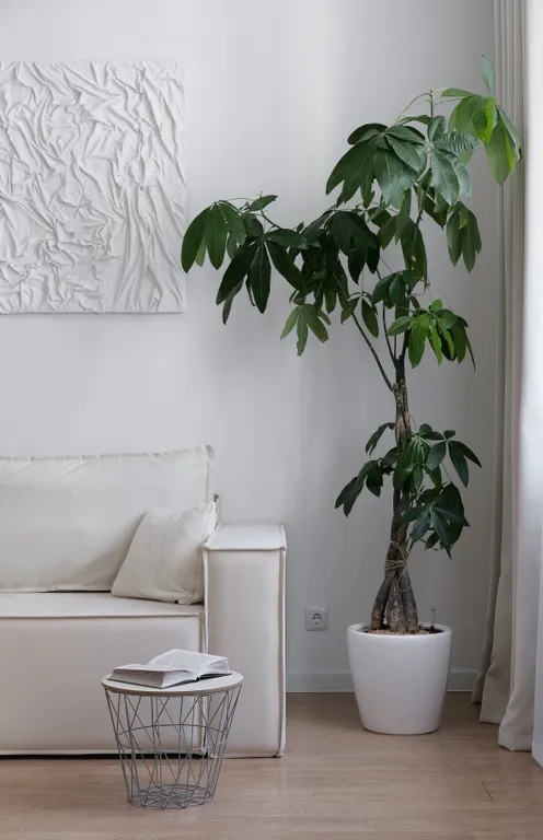 Квартира Просторная светлая квартира на Австрийской площади — Санкт-Петербург