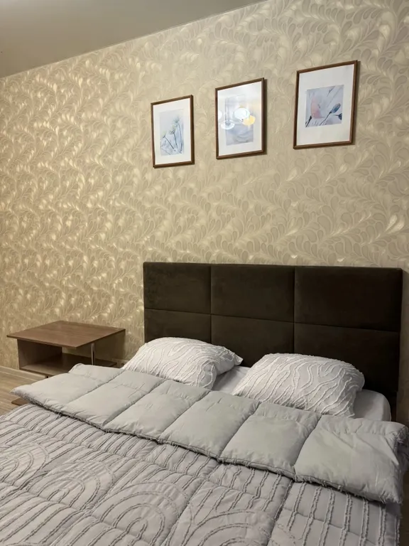 Квартира Уютная студия — аренда посуточно в Барнаул