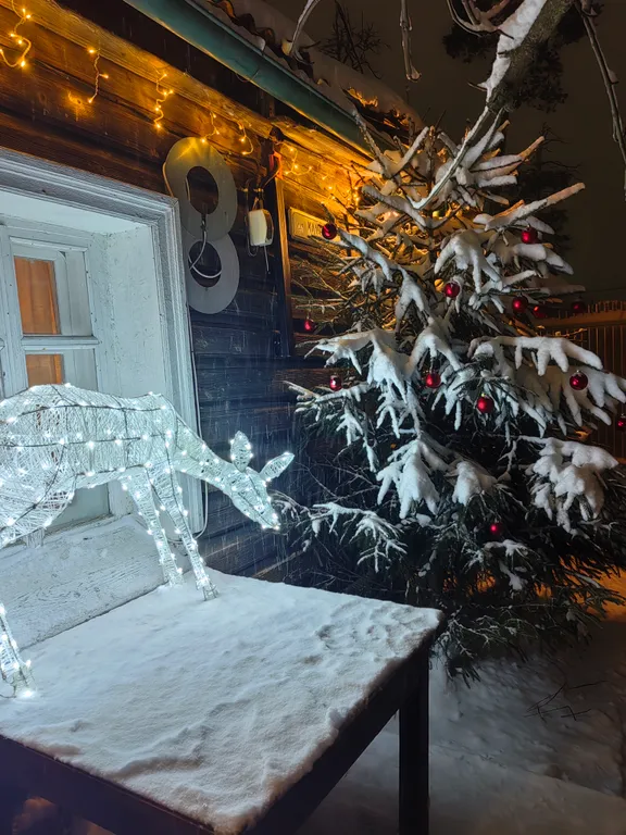 Дом в городе петрозаводске с красивым уединённым участком и баней