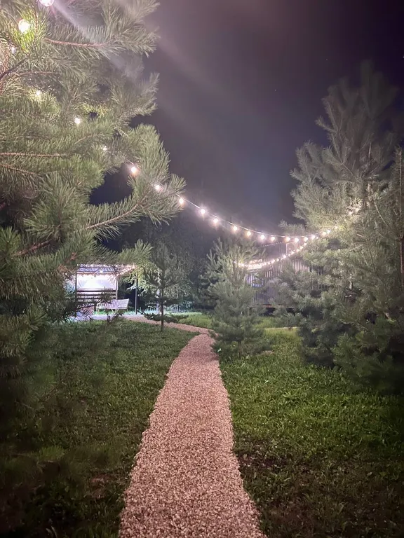 Атмосферный дом в соснах