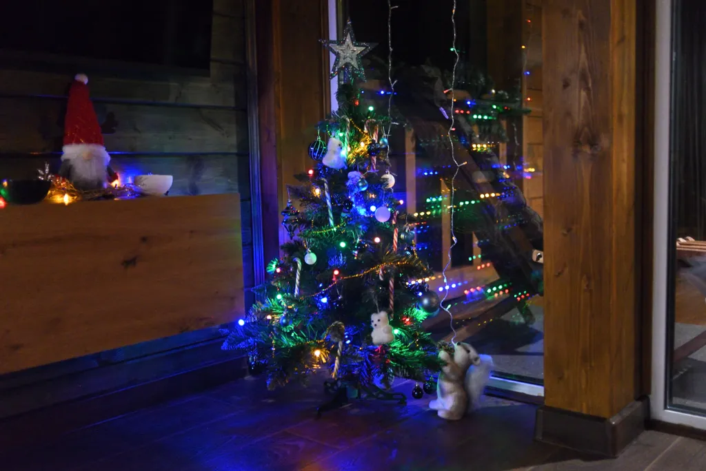 Роза Ветров