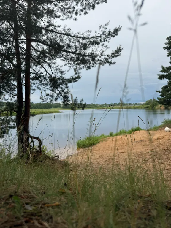 Дом с баней и прудом в Угличе