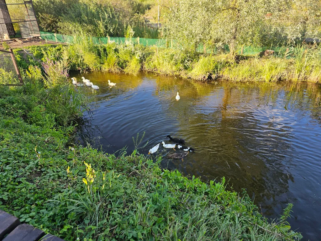 Коттедж Дом с русской баней — Белоозёрский