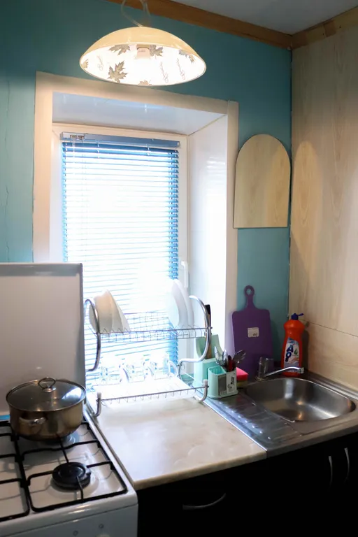 Дом васильки