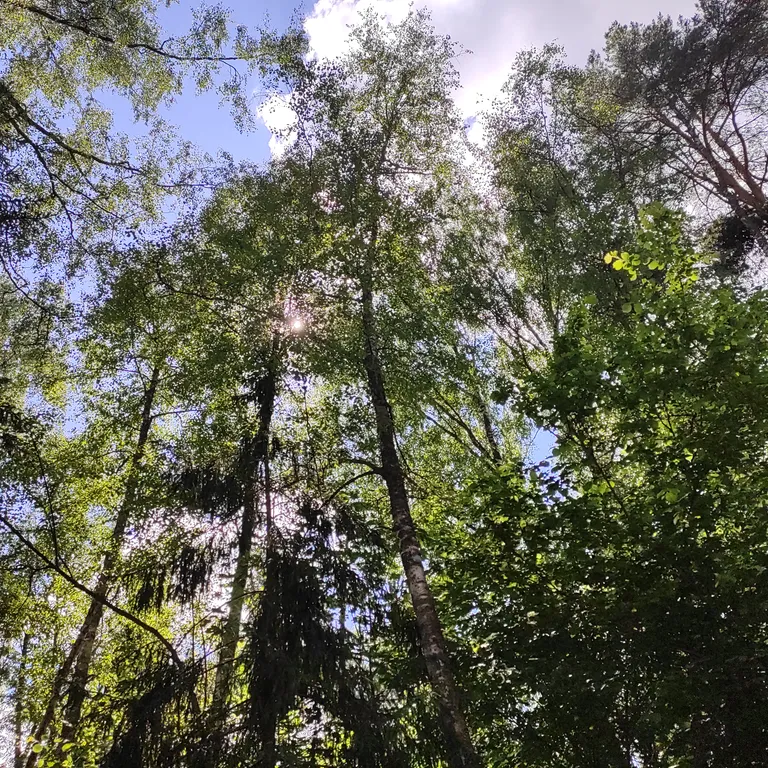 Комфортная квартира в Поозерье