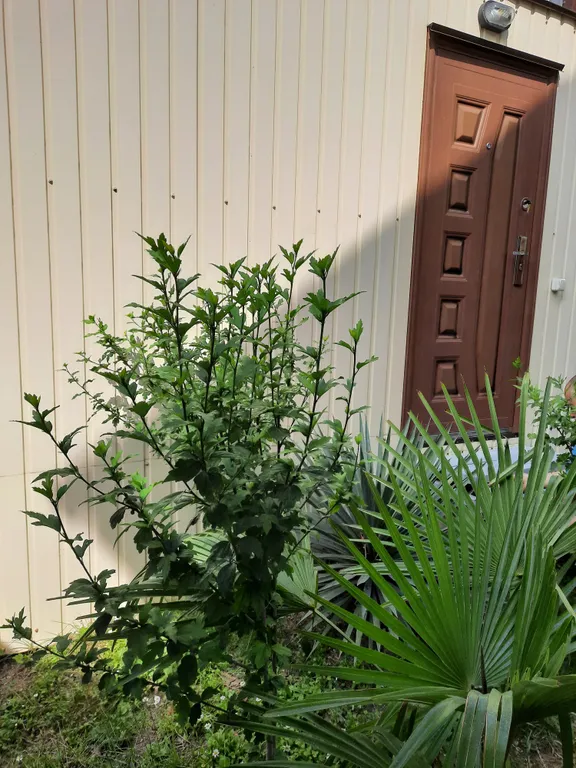 1-комнатный Дом