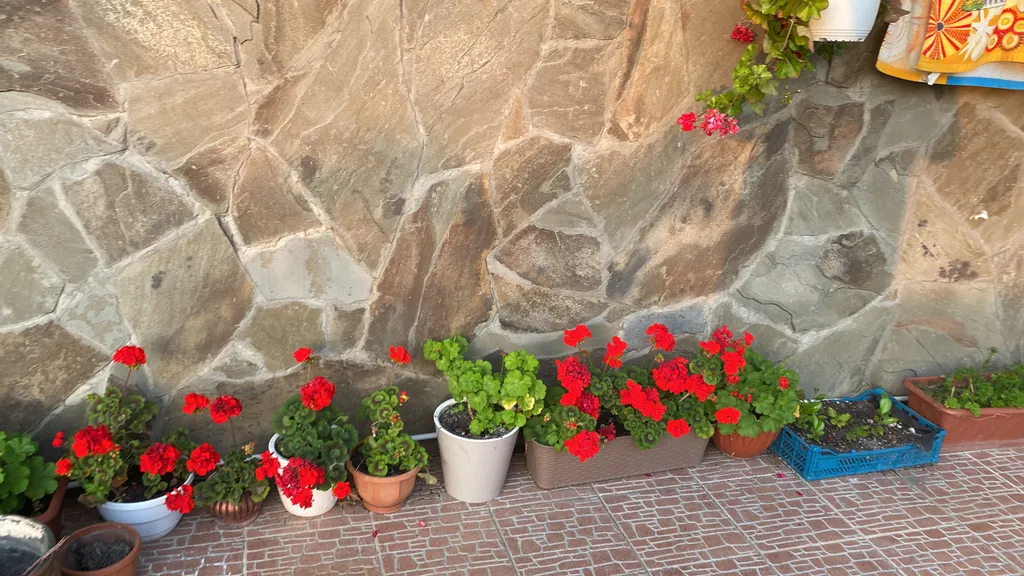 Квартира Комната — Лазаревское