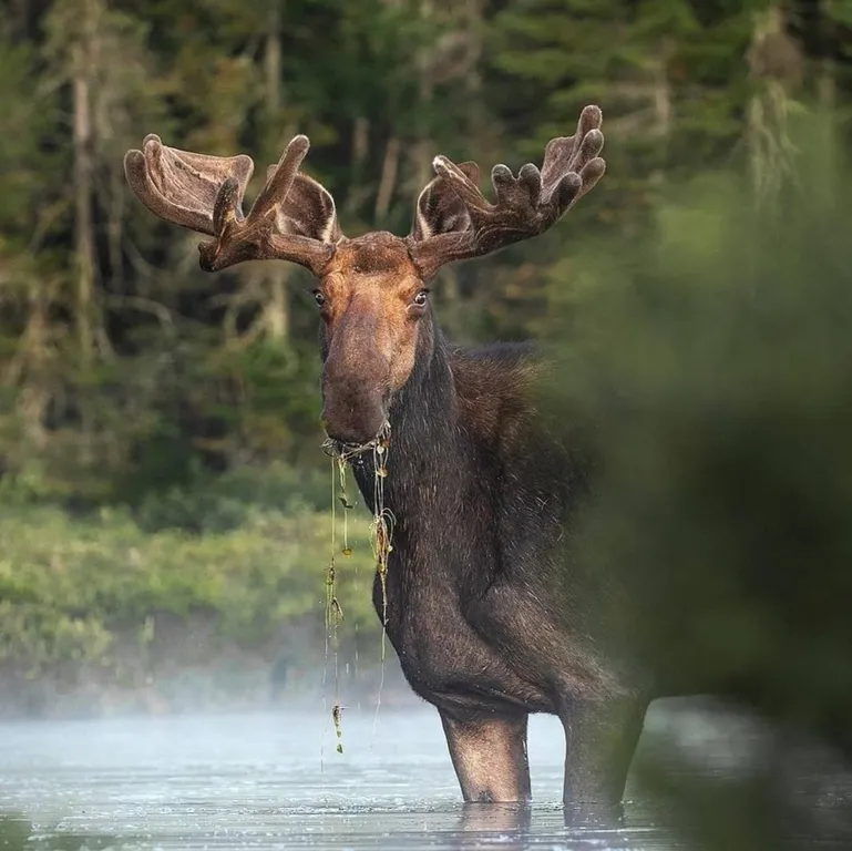 Солнечный домик в беловежской пуще без соседей, баня, озера, экскурсии