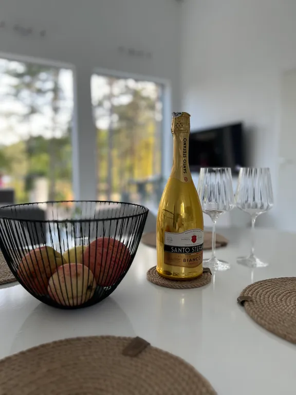 Стильный дом на берегу Ладожского озера с панорамным видом