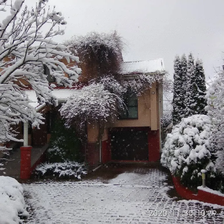 Элитный коттедж в сосновом бору под Минском — аренда посуточно в Боровляны