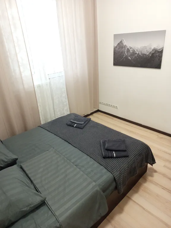 Квартира с видом на ледовую арену