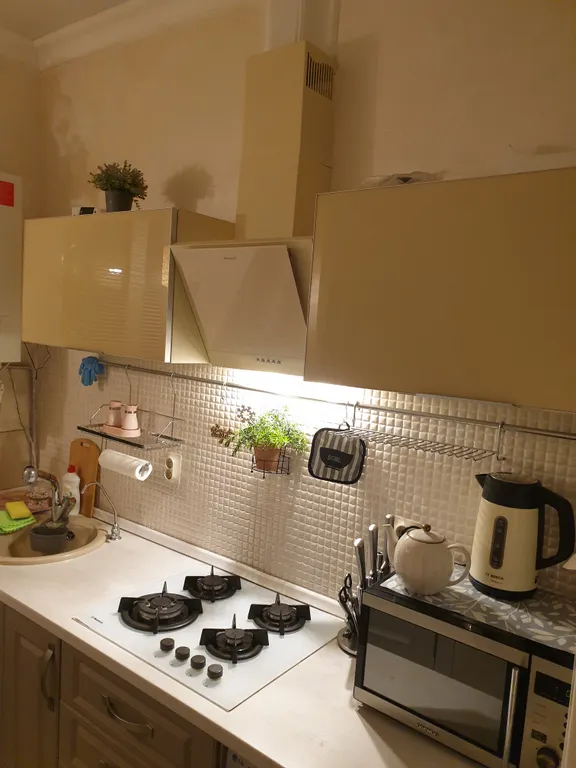 Квартира Уютные апартаменты с видом на озеро — Калининград